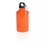 Botella de aluminio pequeña en colores brillantes 400ml Cruiser