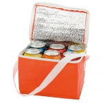 Bolsa nevera para 6 latas 13