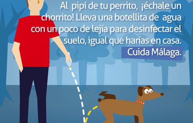 Botellas personalizadas portátiles para perros: otros usos más allá de reforzar la marca