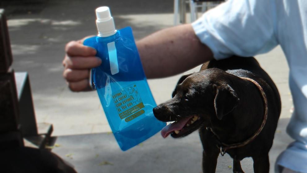 Botellas personalizadas portátiles para perros: nueva tendencia