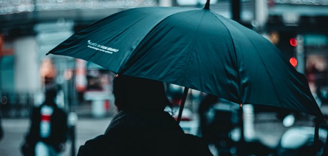 del paraguas: todo sobre la de este artículo