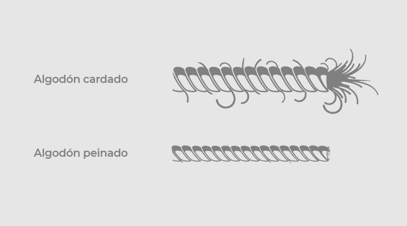 diferencias algodón peinado y cardado