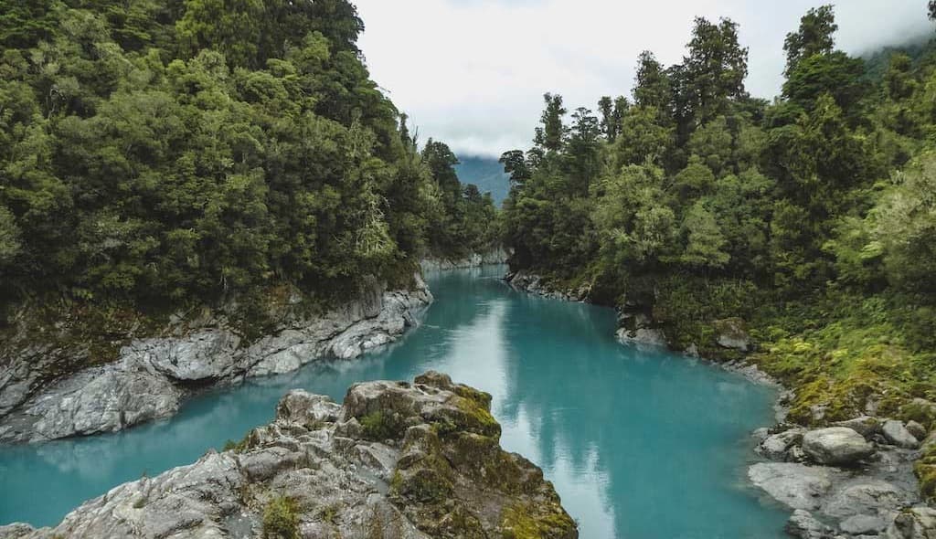 RPET protección de la naturaleza