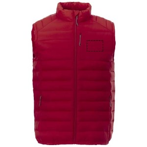 parte izquierda del pecho