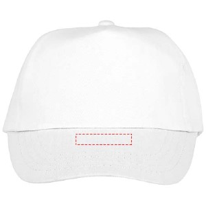Visera