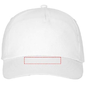 Visera
