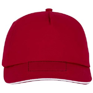 Visera