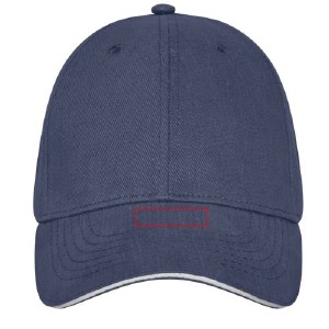 Visera