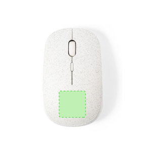 Parte inferior del rat?n