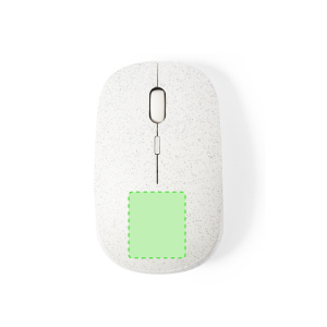 Parte inferior del rat?n