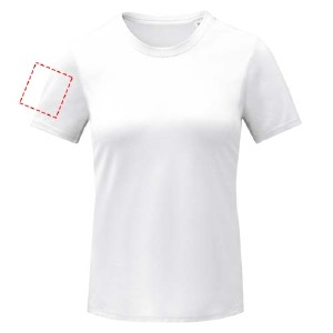 parte izquierda del pecho