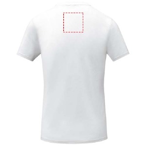 Impacto - frontal completo