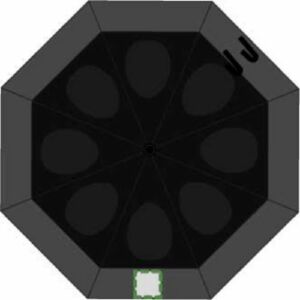 1er panel