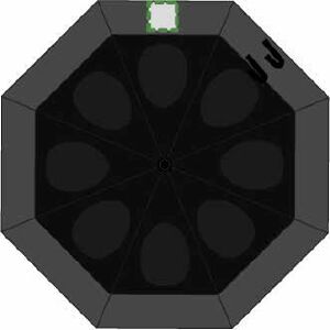 Panel 2