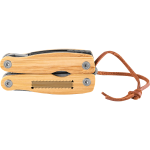 frontal inferior