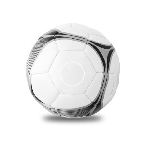 Pelota Panel 2