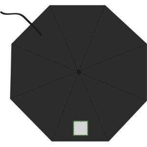 1er panel