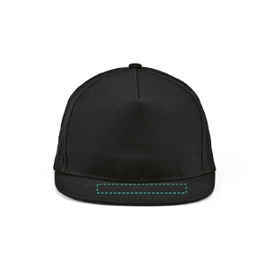 Visera