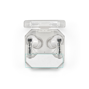 Earbuds - Inside Plate