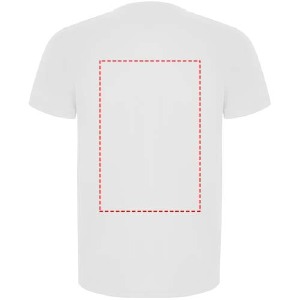 Impacto - frontal completo