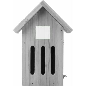 Frontal parte superior