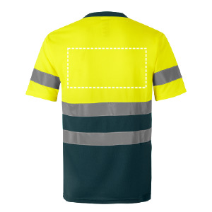 T-shirt posterior