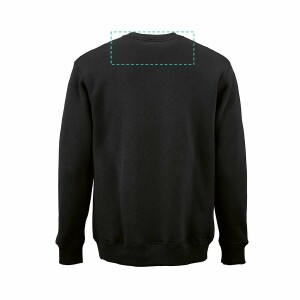 Back Neck