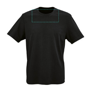 Front Neck