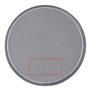 tapa