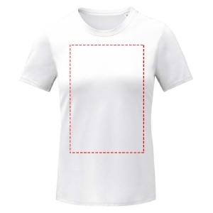 Impacto - frontal completo