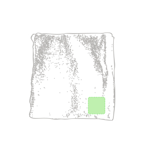 Cart?n de presentaci?n