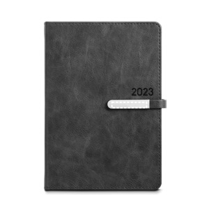 Agenda posterior