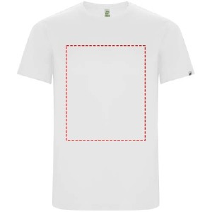 Impacto - frontal completo