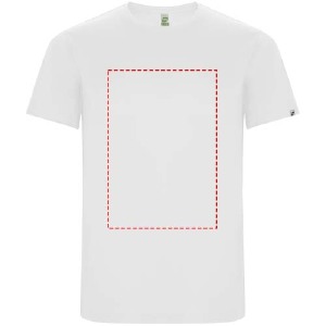 Impacto - frontal completo