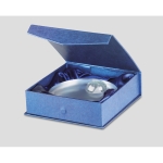 Trofeo publicitario con detalle de globo de la Tierra Mundial color transparente vista fotografía segunda vista