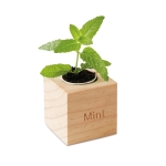 Macetero personalizado con semillas de menta en caja EcoMint color madera tercera vista