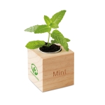 Macetero personalizado con semillas de menta en caja EcoMint color madera vista principal tercera vista