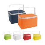 Bolsa nevera para publicidad para llevar 6 latas Polar varios colores