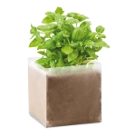 Bolsa con semillas personalizable de albahaca para regalo Basil color beige