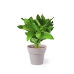 Combinación de 2 macetas para regalo con semillas de menta y perejil color beige cuarta vista