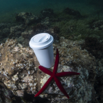 Tazas take away sin BPA compostables de 450ml Takeaway Safe sexta vista