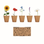 Set de cultivo de flores con 5 tipos diferentes Kit 5 Flowers Grow color beige