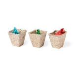 Kit de huerto con logotipo y tres tipos de semilla Kit Huerto DIY color natural tercera vista