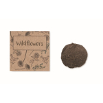 Semillas de flores silvestres con caja Kit Semillas Wild Flower color beige cuarta vista