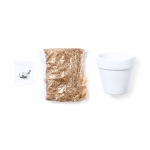 Maceta en terracota blanca con semillas de cactus y sustrato Cactus color blanco segunda vista