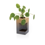 Taza térmica sostenible de diseño moderno 300ml Avira Alya color turquesa