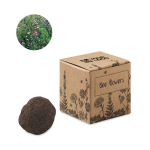 Kit de cultivo de semillas de flores de abeja presentado en caja color beige vista de impresión