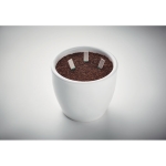 Palitos para plantar con semillas de cebollino, albahaca y perejil color beige