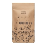 Kit de cultivo de fresas con abono presentado en envase de papel color beige sexta vista
