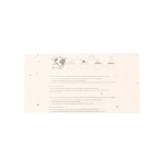 6 lápices de color en caja de cartón con semillas de petunia color natural cuarta vista